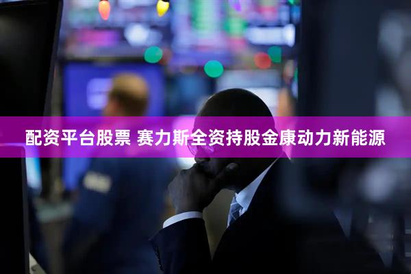 配资平台股票 赛力斯全资持股金康动力新能源