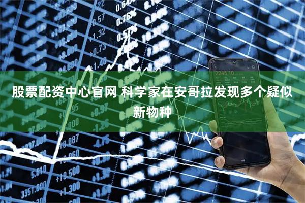 股票配资中心官网 科学家在安哥拉发现多个疑似新物种